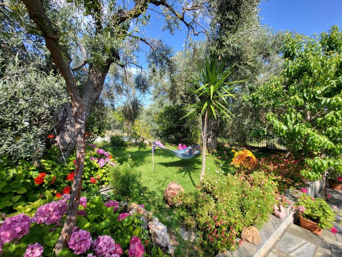 Omikron Holiday home Mikro