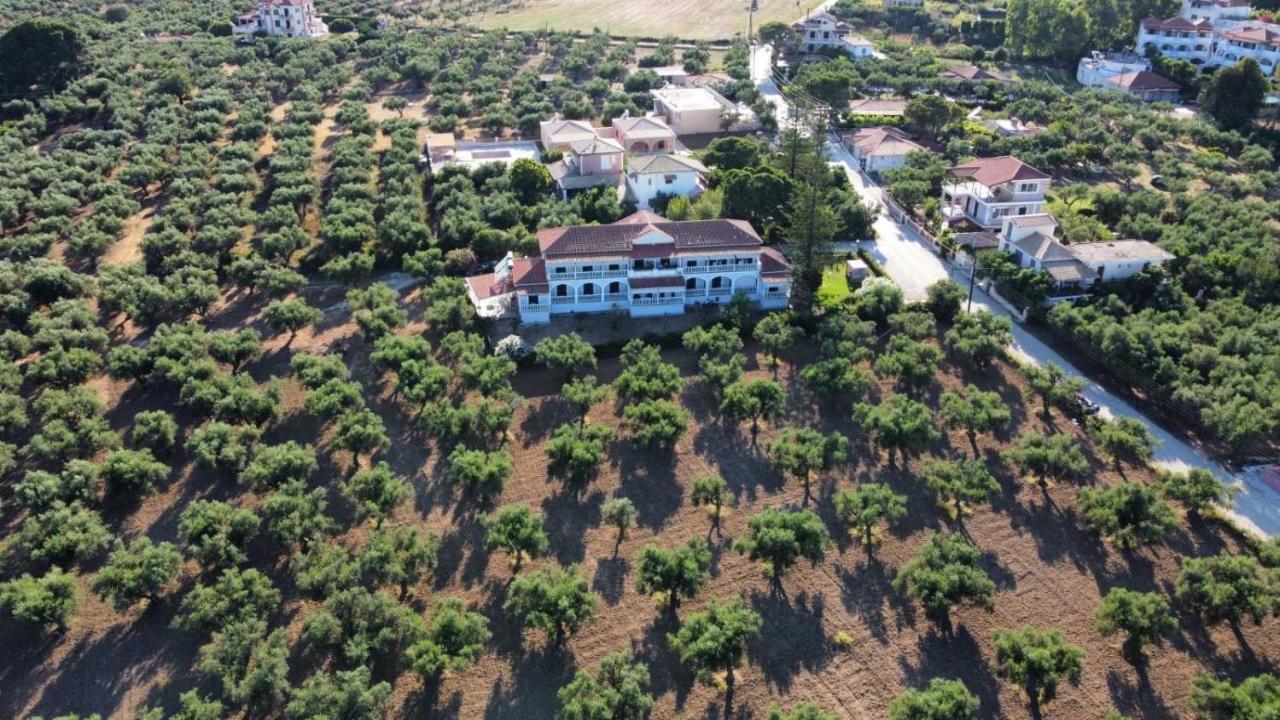 Clelia Apartment Vasilikos (Zakynthos)