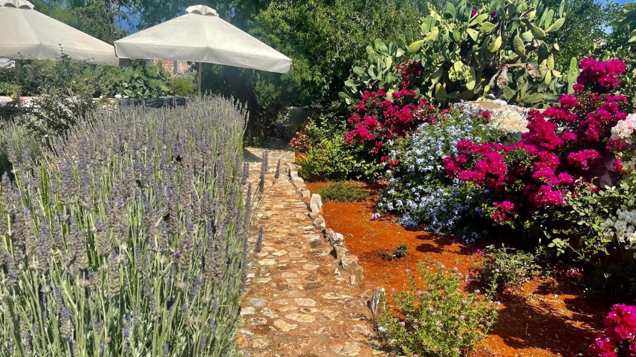 Apartment Katafigi Pyrgos Dirou