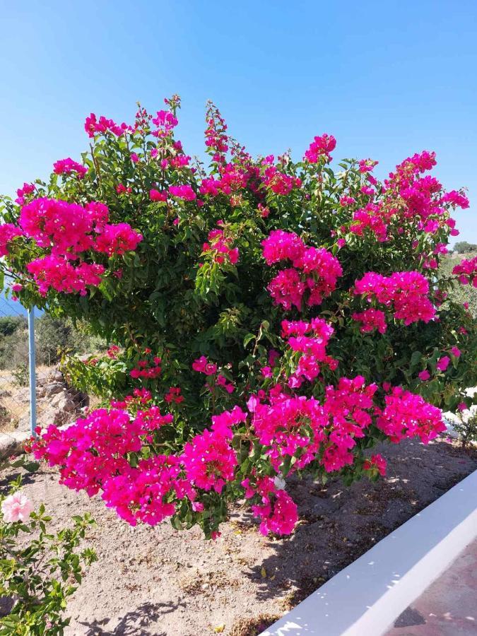 «astrofeggia» A Private Stone House Nature-seaview