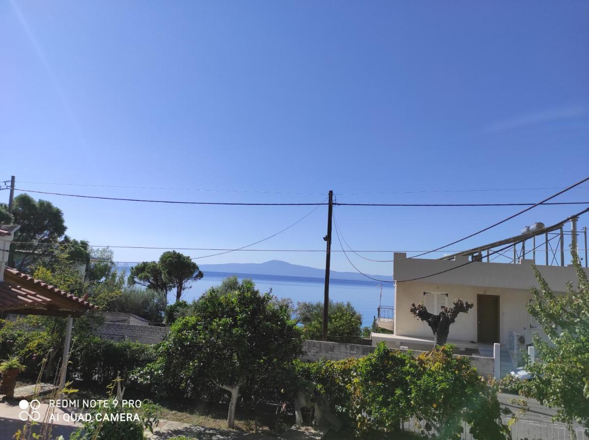 Garden Sea