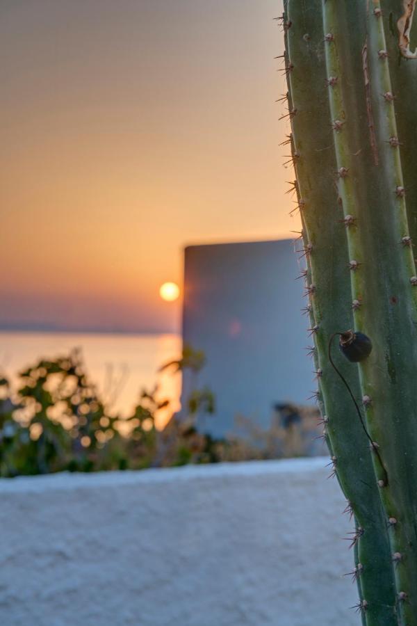 Cactus Guesthouse, συρος