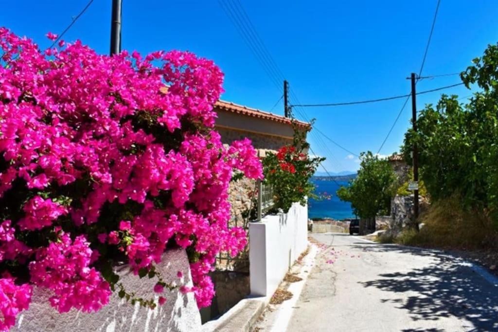 A View _ Agkistri Apartment
