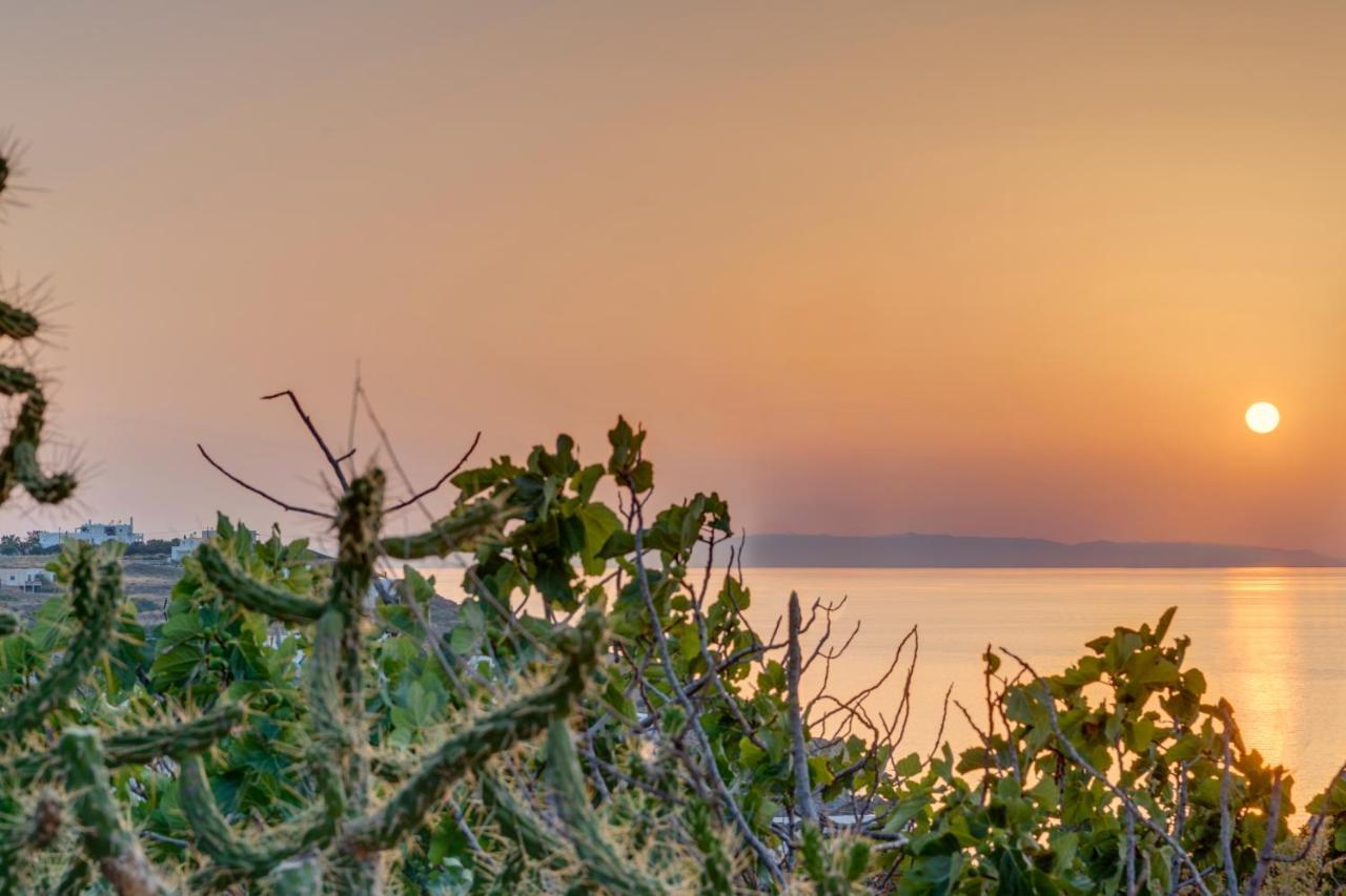Holiday home Cactus Guesthouse, συρος Kini