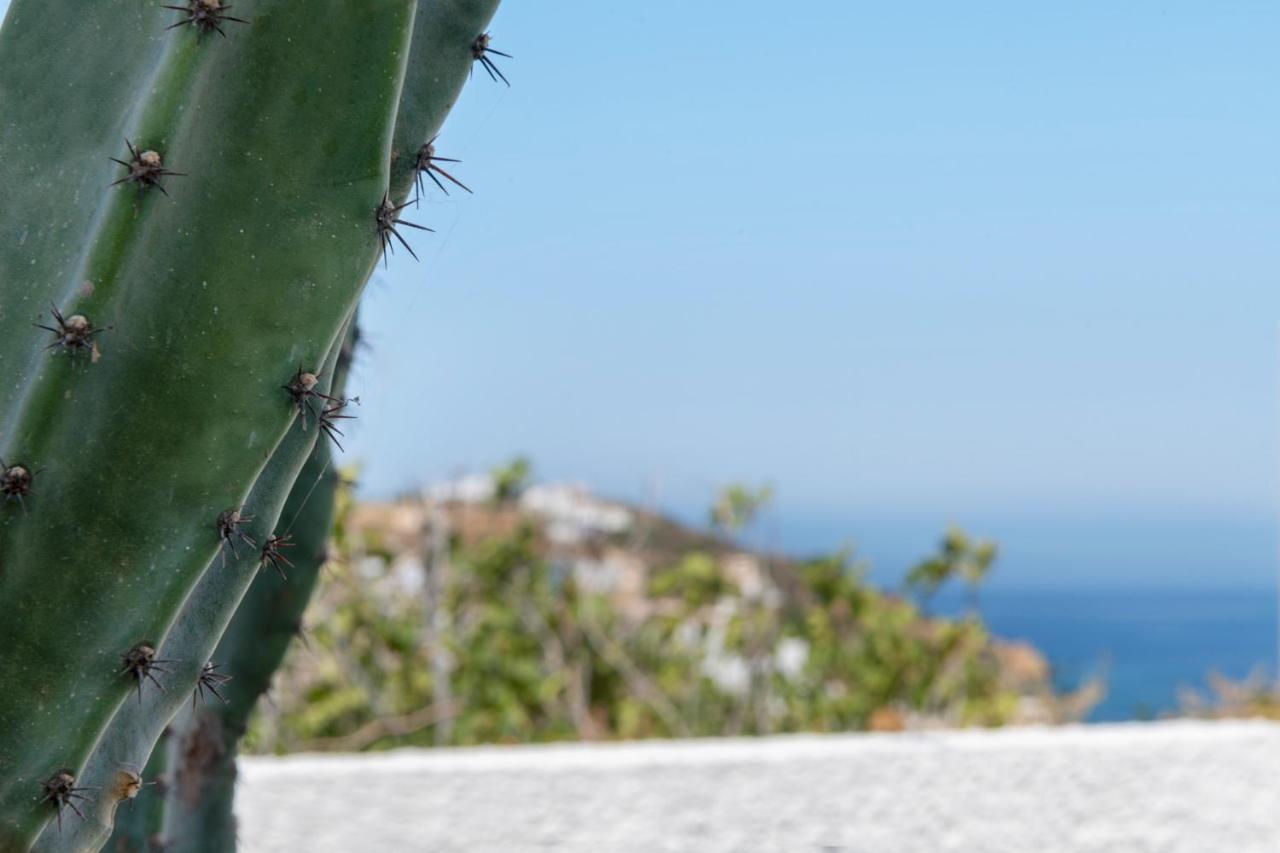 Cactus Guesthouse, συρος Holiday home