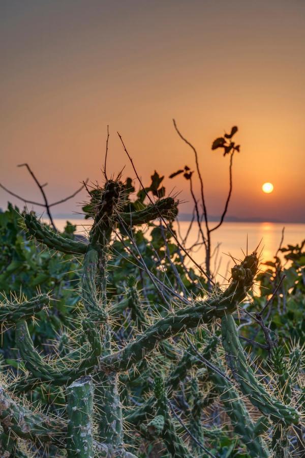 Holiday home Cactus Guesthouse, συρος Kini