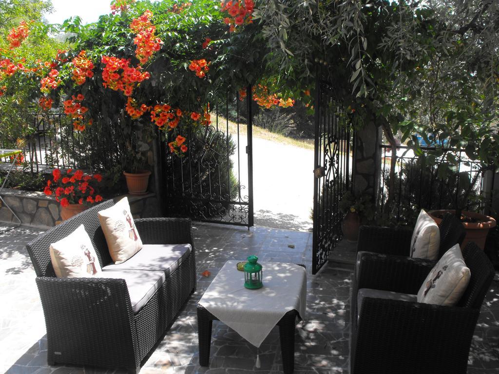 Studios Apollon Apartment Chrysi Ammoudia