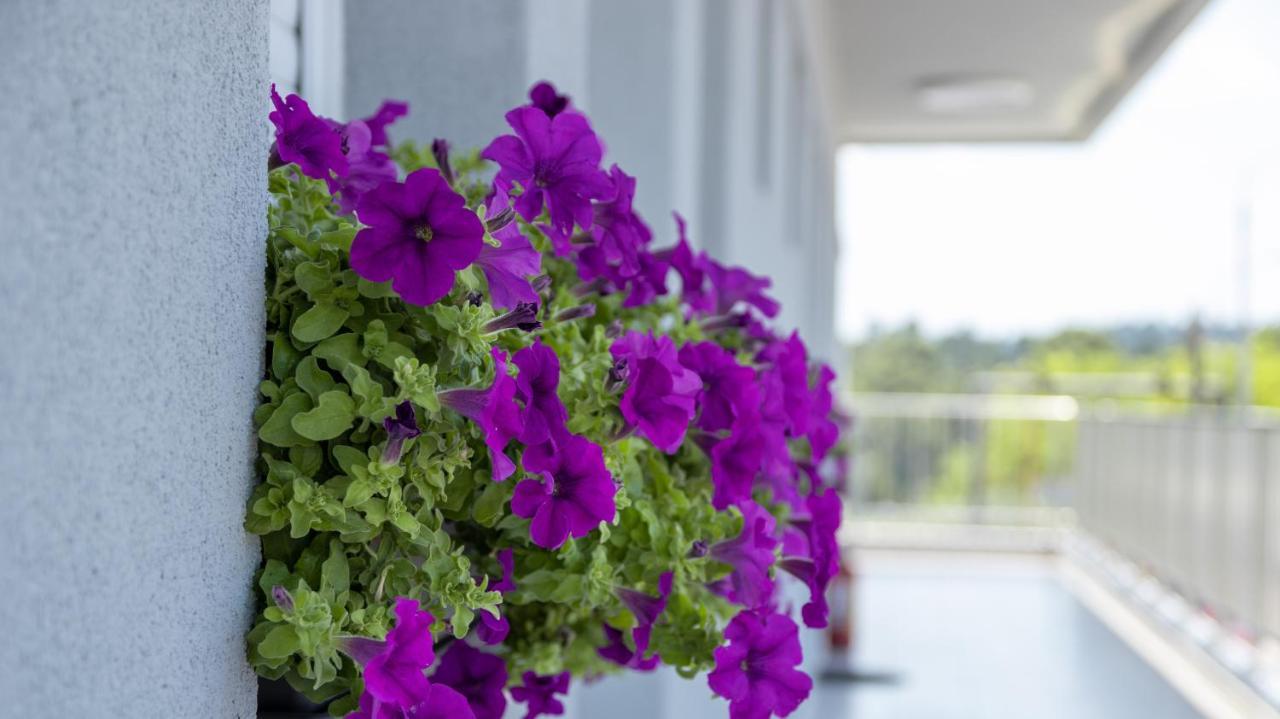 Briki Apartment Kallithea (Chalkidiki)