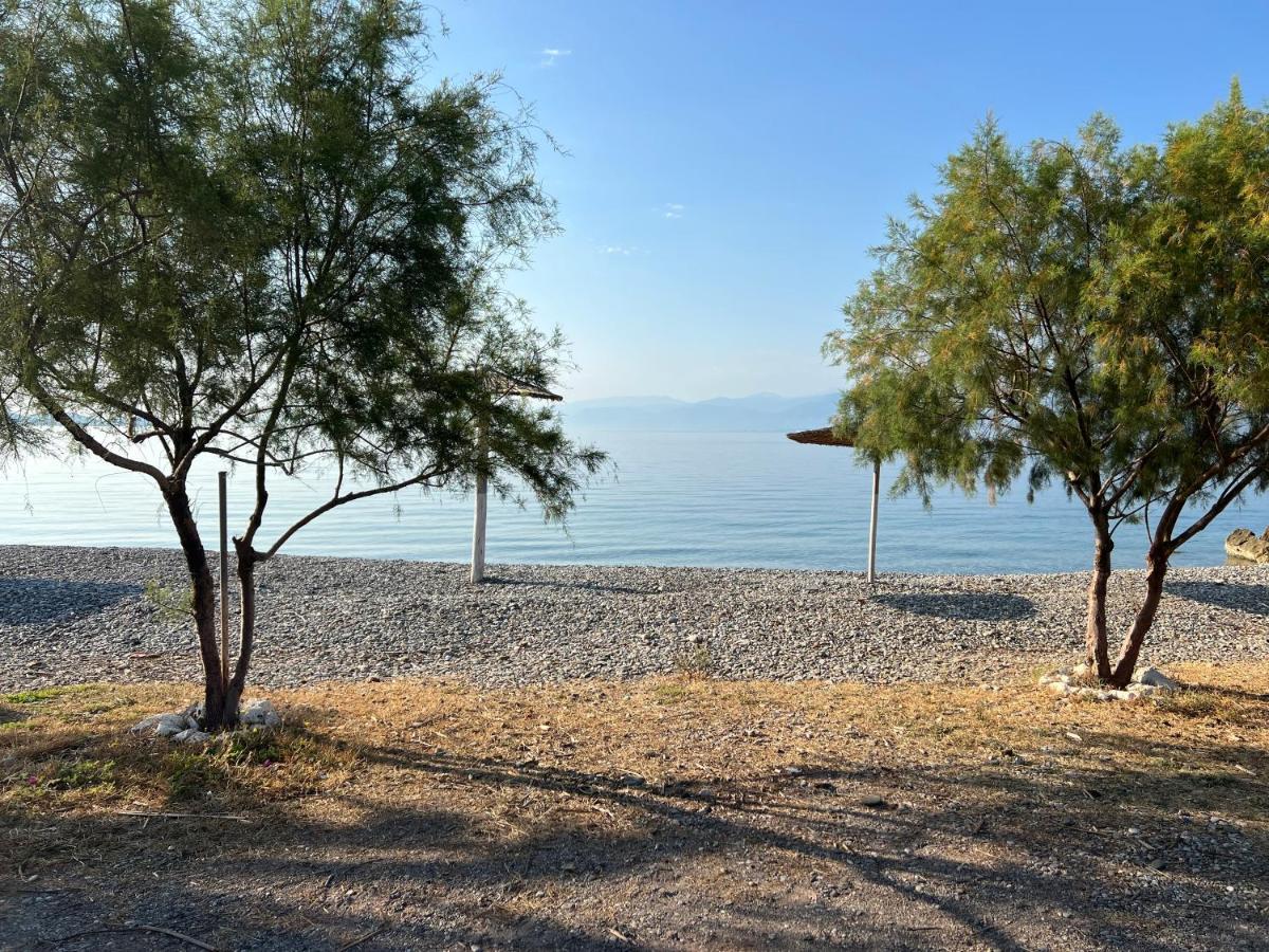 Pebble * Marathias (Fokida)