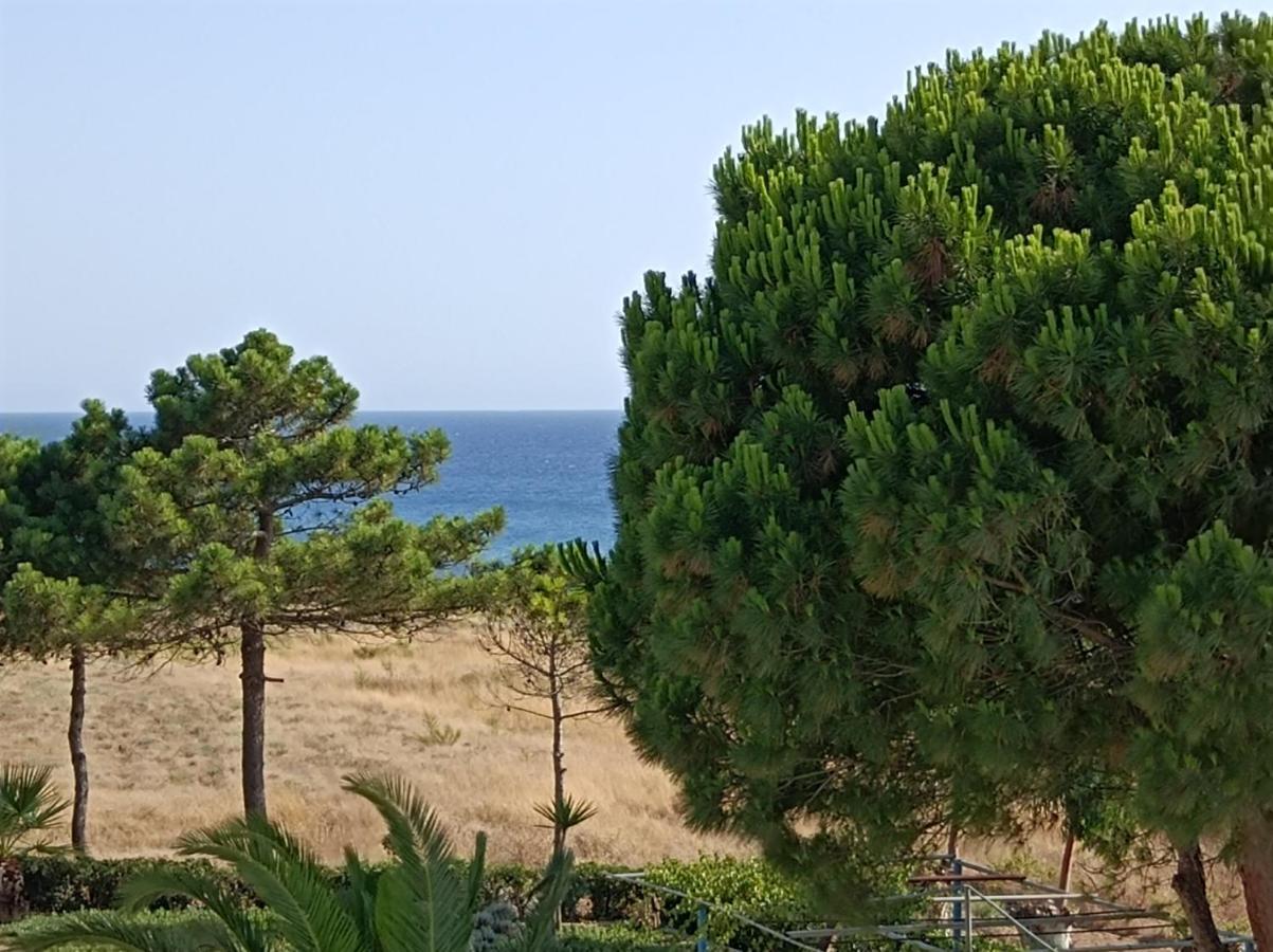 Kipriotis