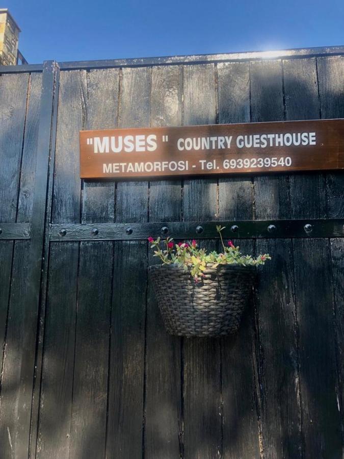 Guest house Muses