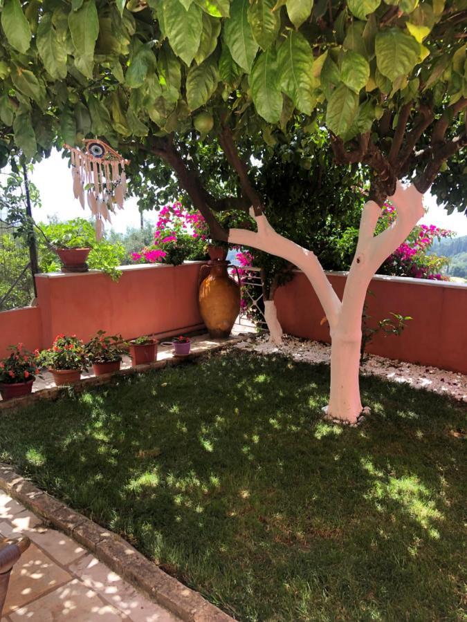 Apartment Spyridonou House Parga