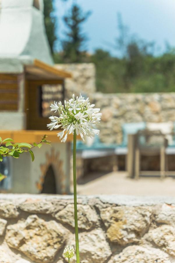 Teachers Rock Lygia (Lefkada)