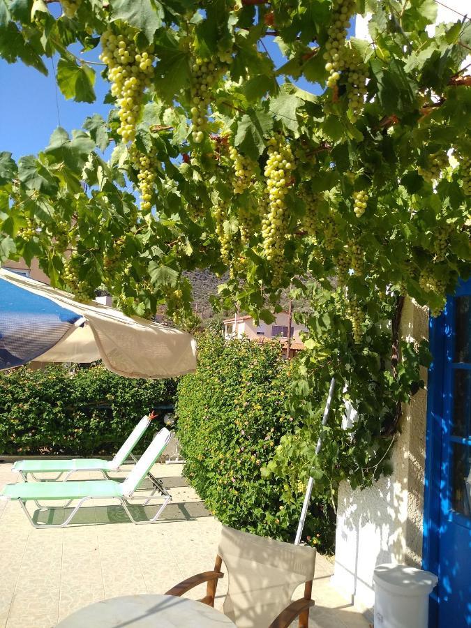 Aparthotel Creta Sun Agia Pelagia (Crete)