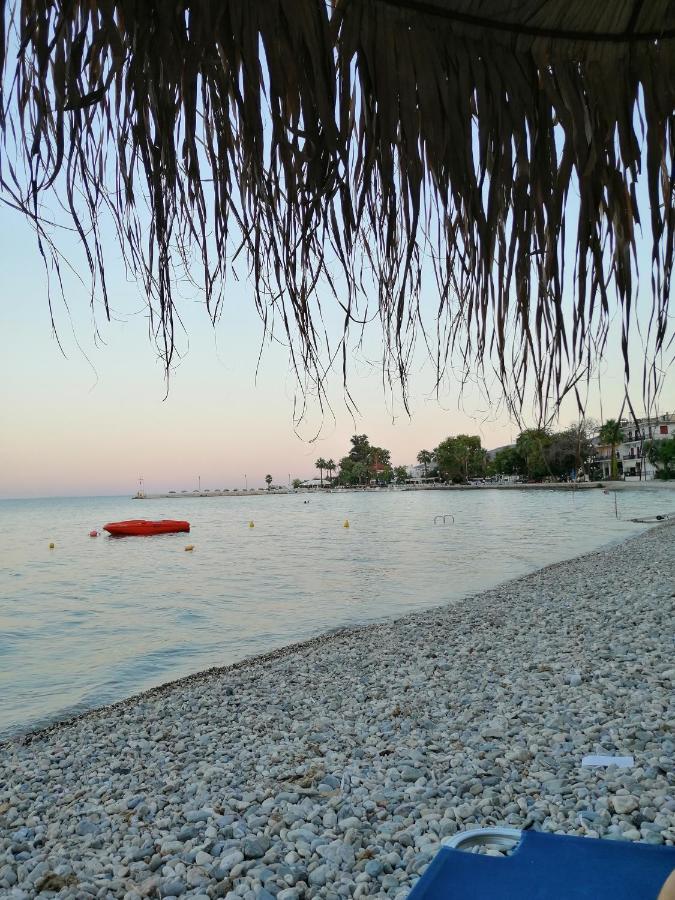 Palataki