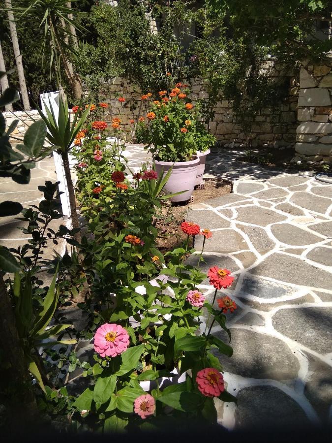 Kiki's Dream Balcony With Sea Views Apartment Chrisi Akti (Paros)
