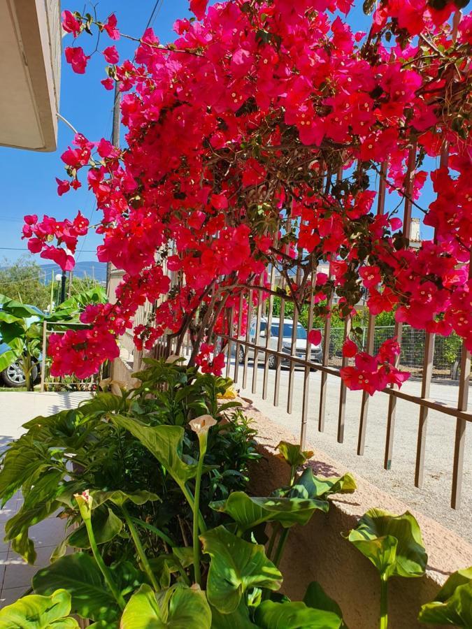 Helen Of Troy House Holiday home *