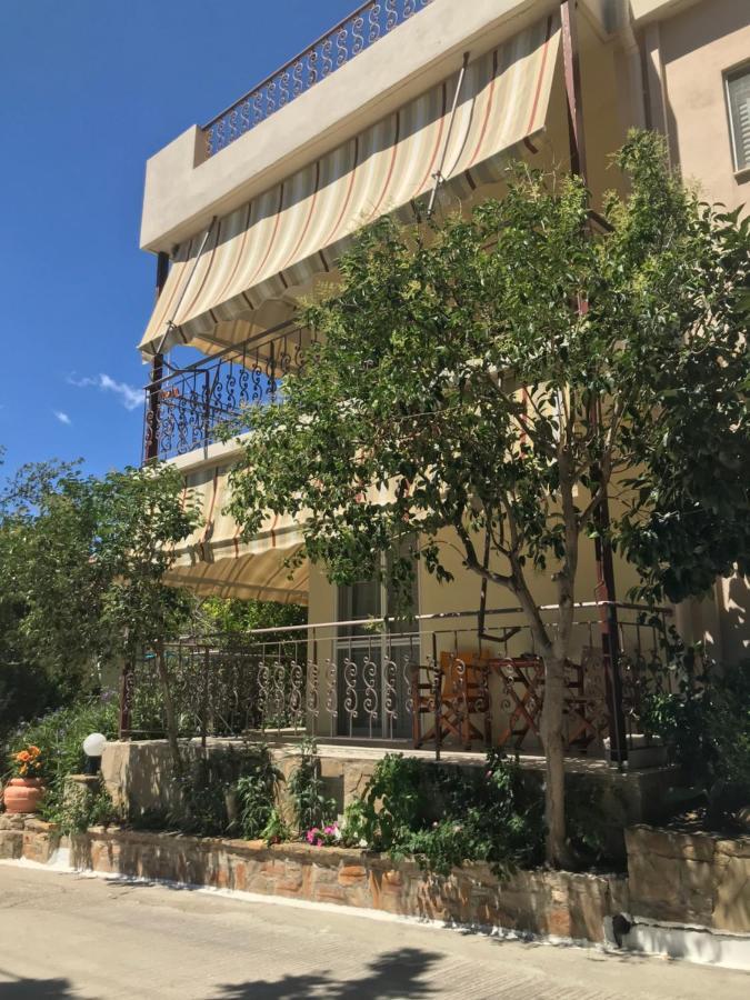 Hotel Afrodite 2*