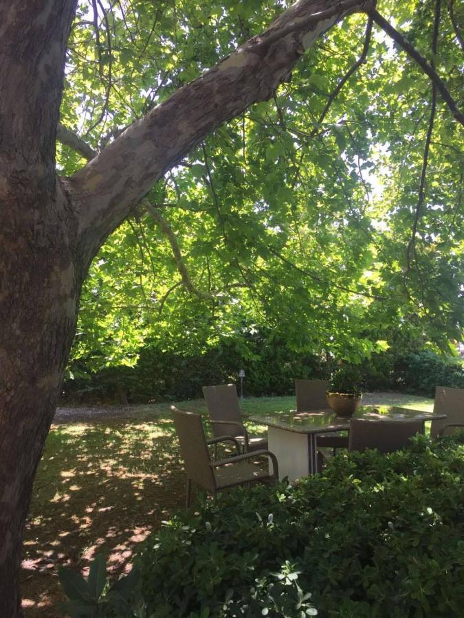 Platanus Gardenhouse Apartment Anavyssos