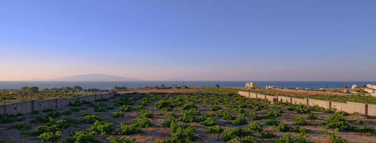 Villa Anemi Vine Foinikia (Santorini)