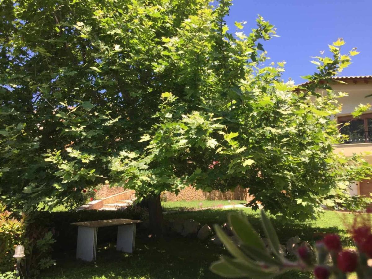 Platanus Gardenhouse * Anavyssos