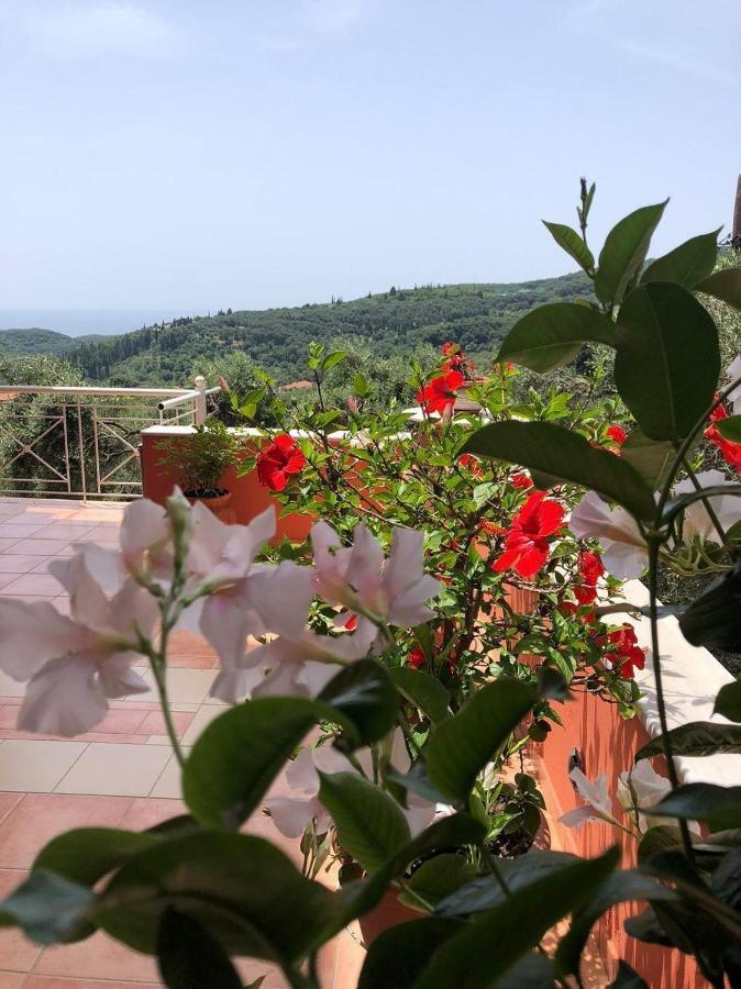 Spyridonou House * Parga