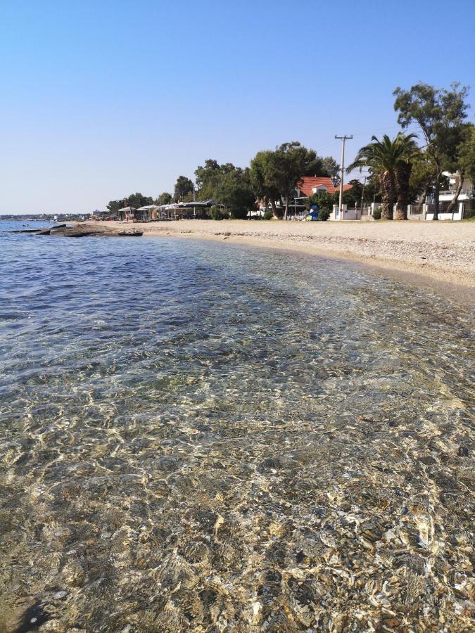 Aegean Sea Homestay Nea Makri