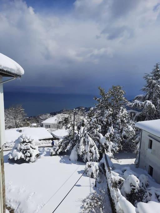 Apartment Ilenia Zagora