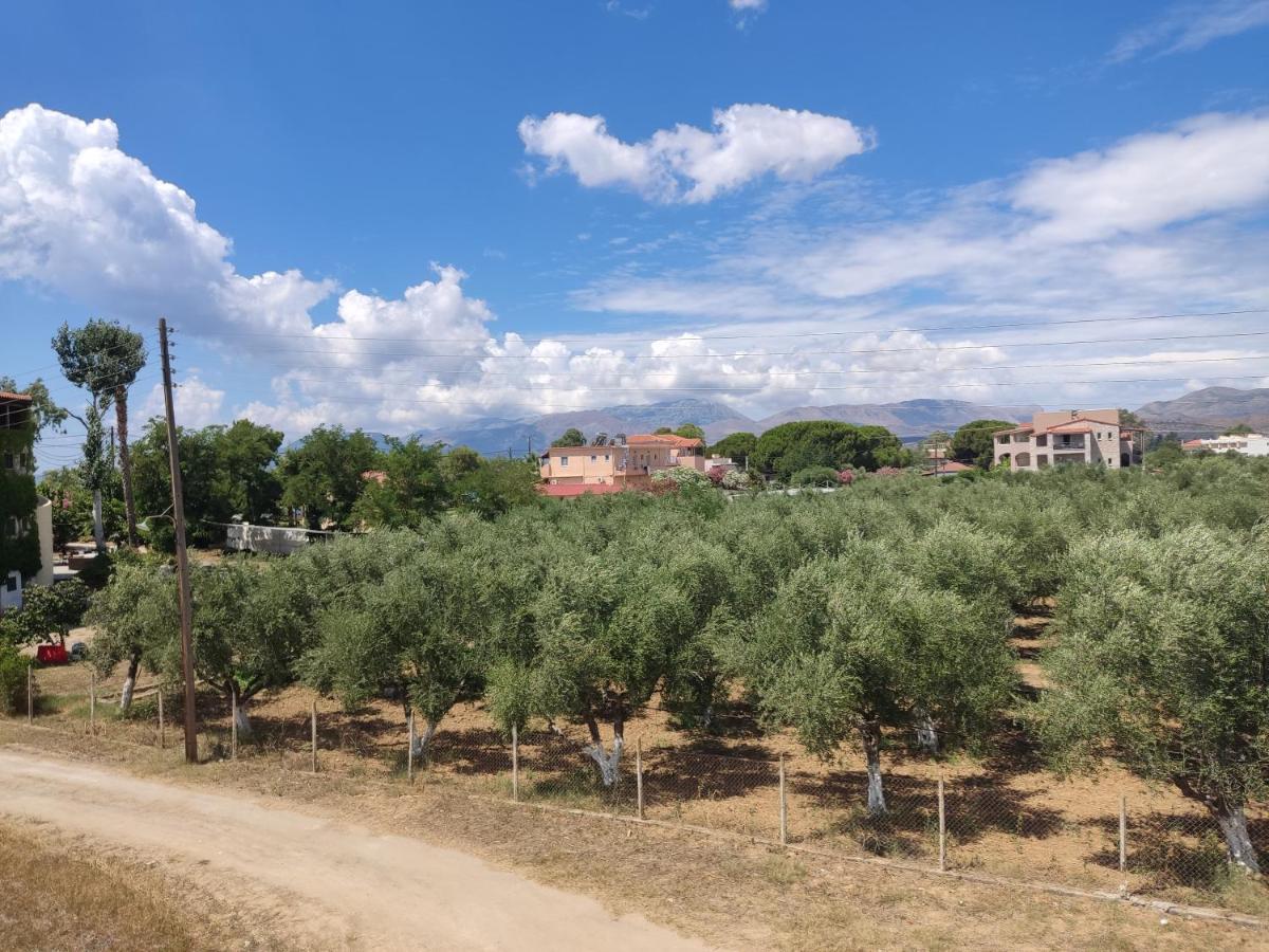 Pansion Artemis Apartment Mavrovouni (Laconia)