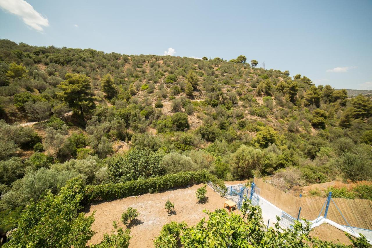 Apartment Agiazi Poros Summer House Galatas (Poros)