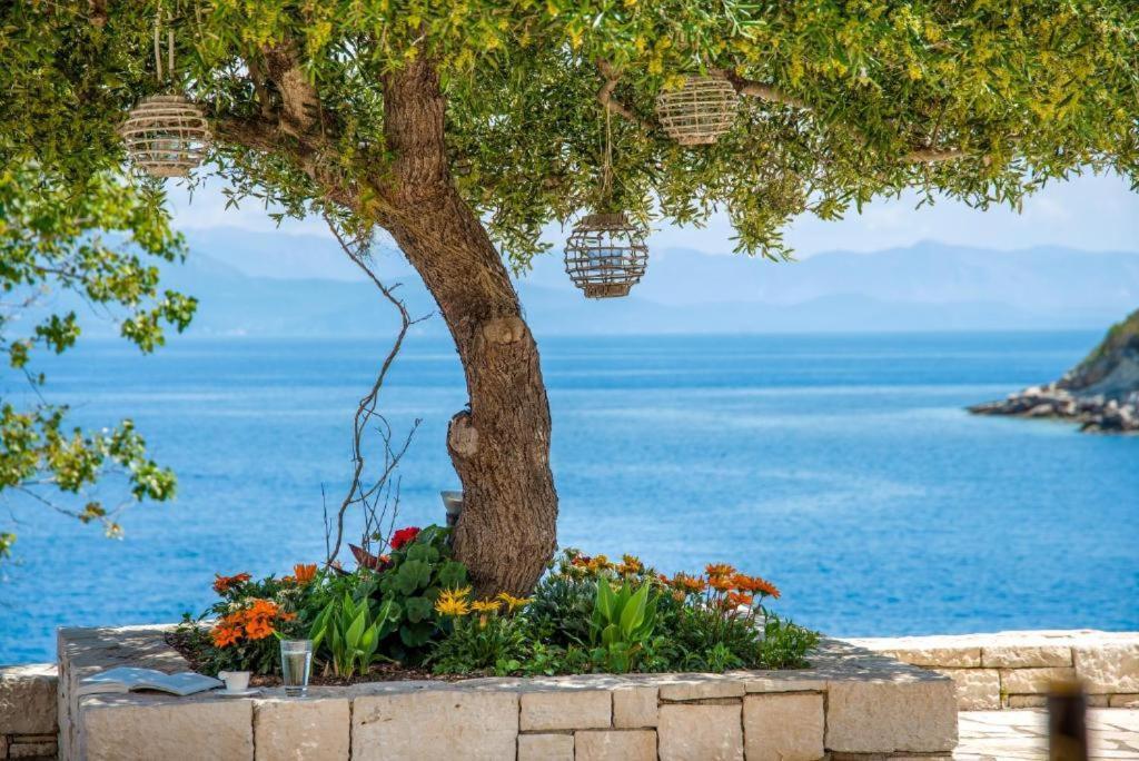 Sea View With Pool Gaios