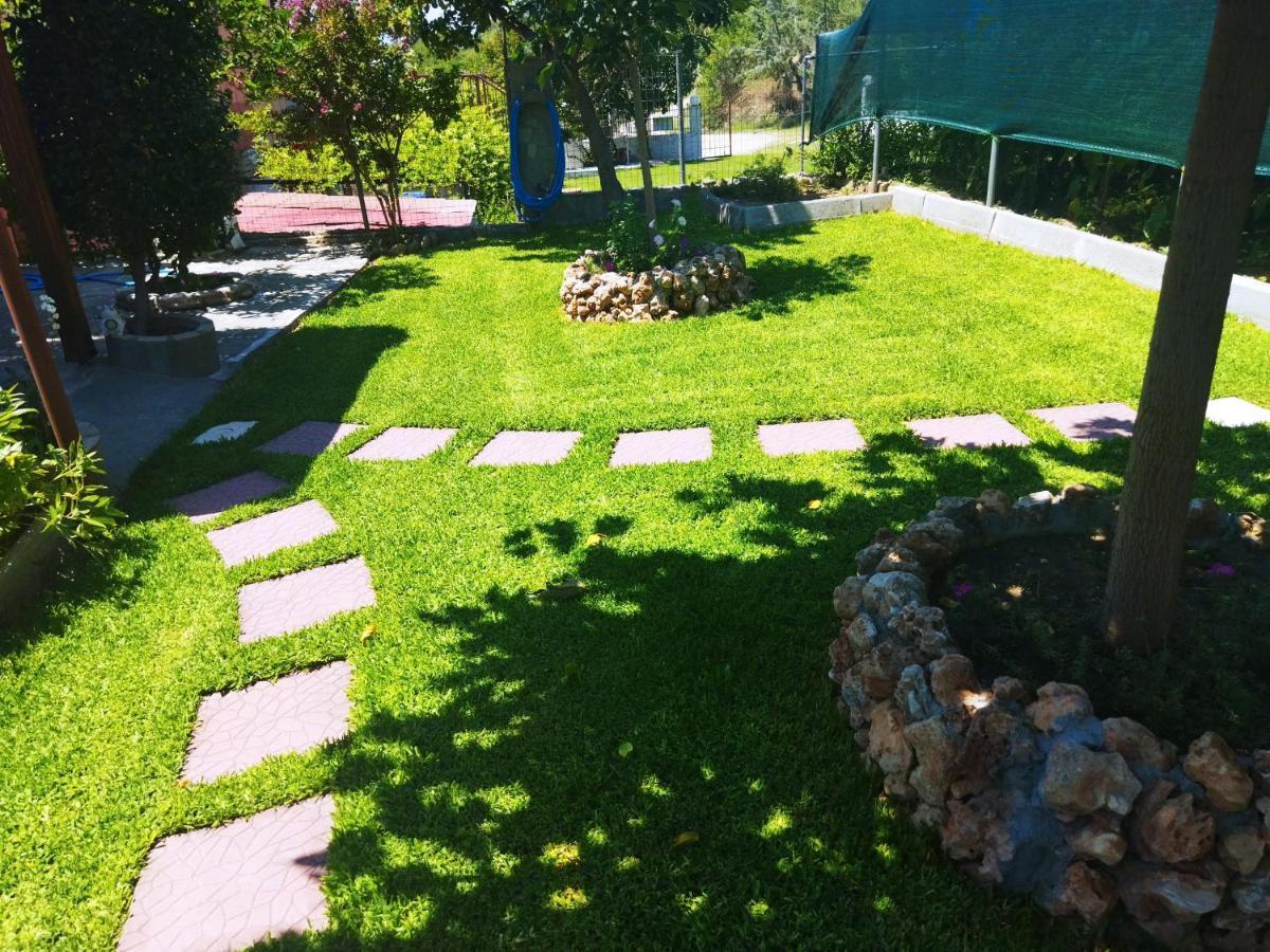 Adam's House 2019 * Kariani