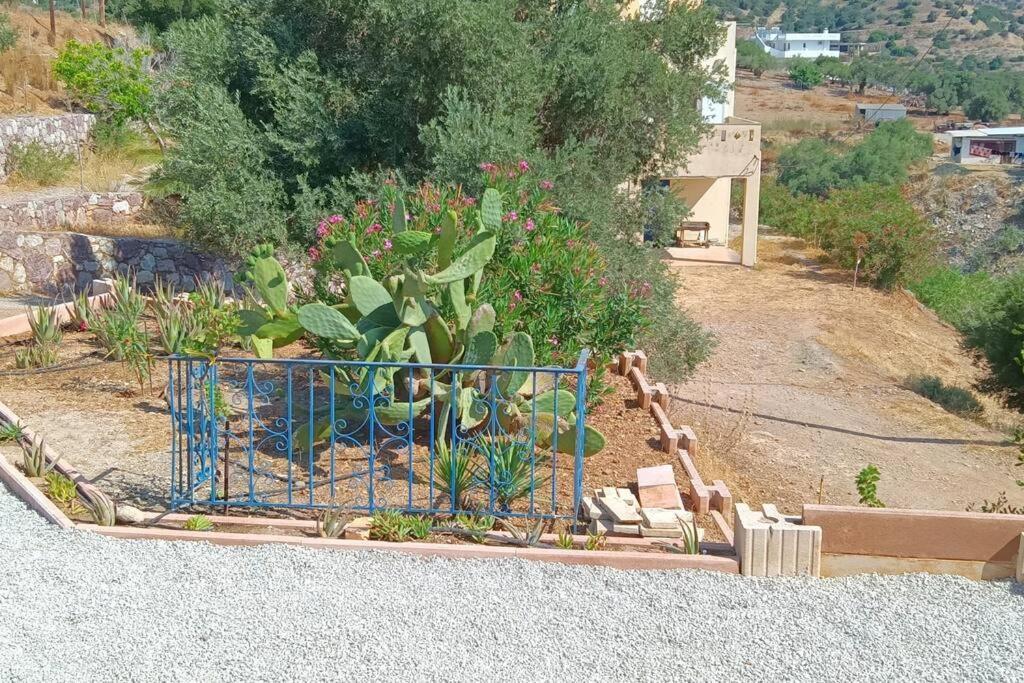 το σπίτι που σε ταξιδεύει Holiday home *