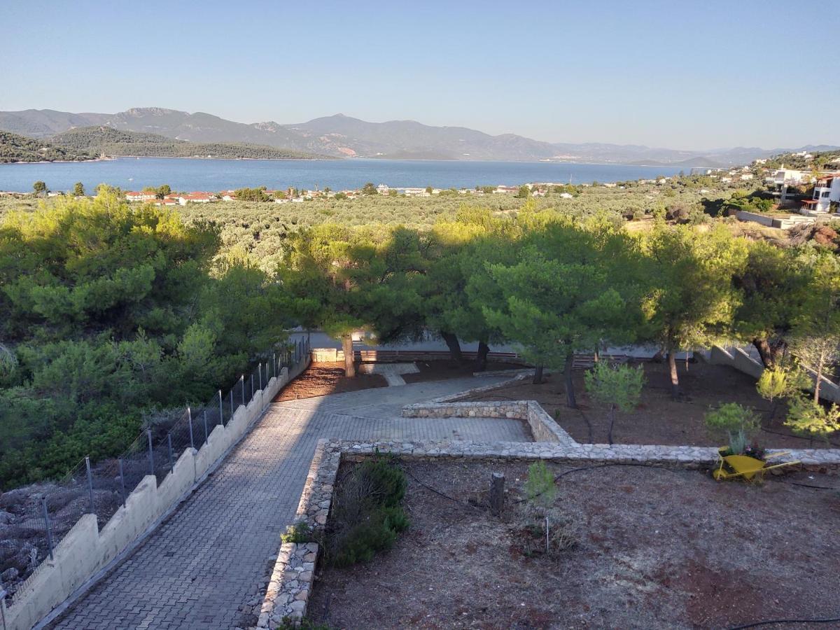 Pines Sea View 170 Sqm In Theologos Villa Theologos (Phthiotis)