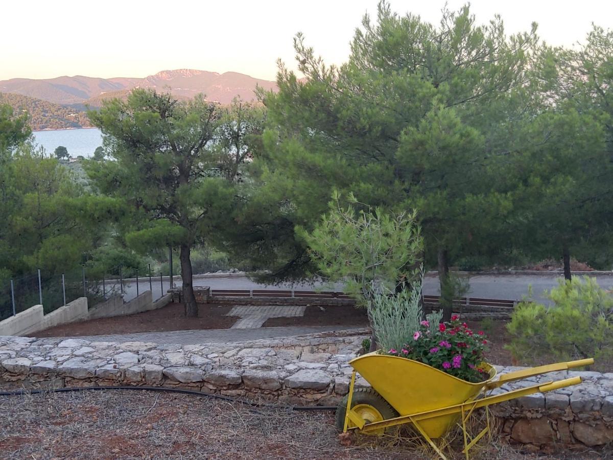 Pines Sea View 170 Sqm In Theologos Theologos (Phthiotis)