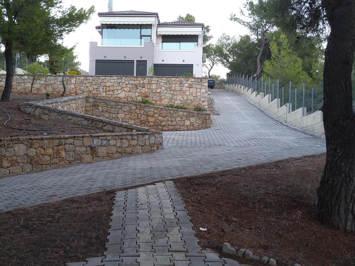 Pines Sea View 170 Sqm In Theologos Theologos (Phthiotis)