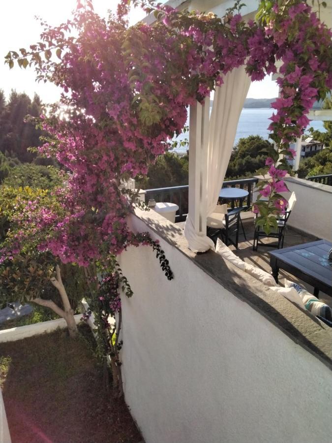 Danai Holiday home *