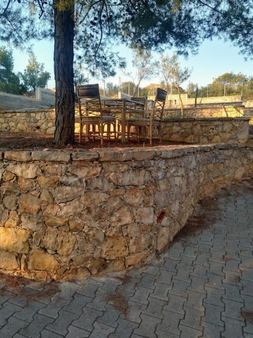 Pines Sea View 170 Sqm In Theologos Villa
