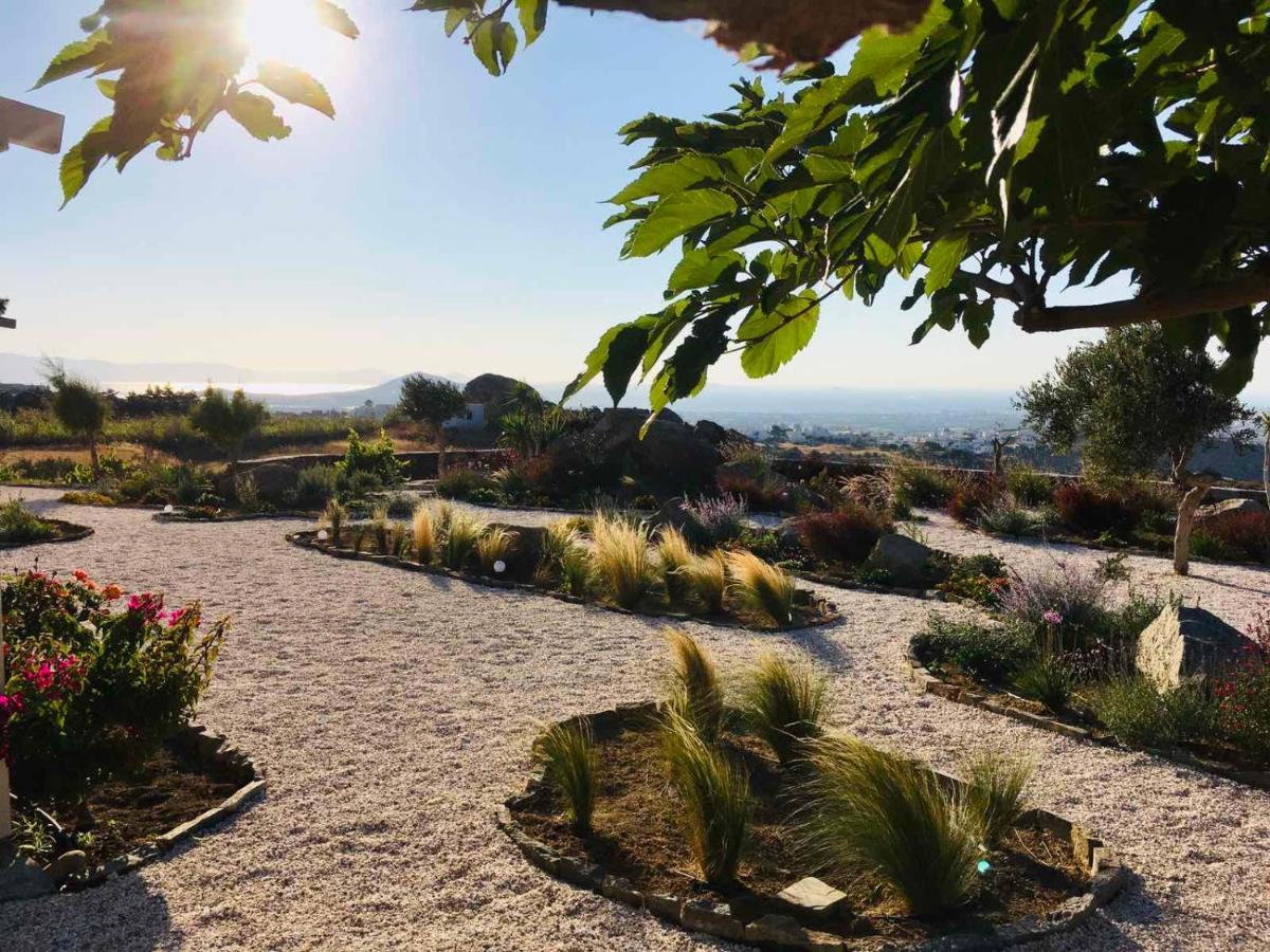 Sunset Apartment Glinado Naxos