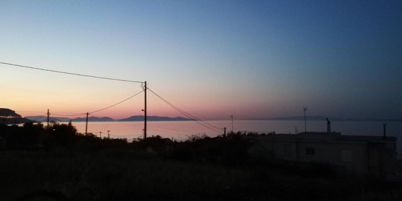 View *