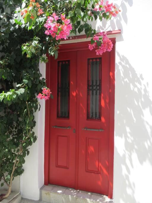 Red Windows To Blue Sky Skyros
