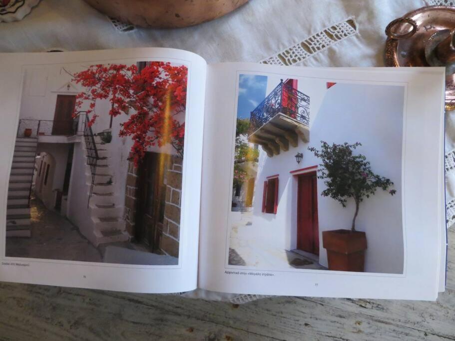 Red Windows To Blue Sky * Skyros