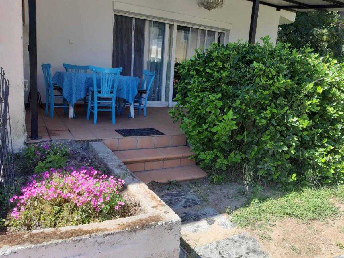 Apartment Palio