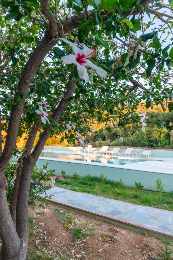 New - Manika - 3br 3ba Pool *
