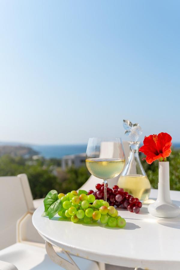 Panorama View Sitia (Crete)