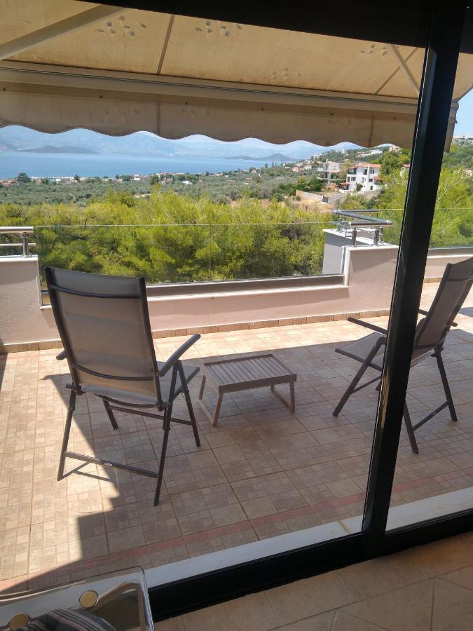Pines Sea View 170 Sqm In Theologos