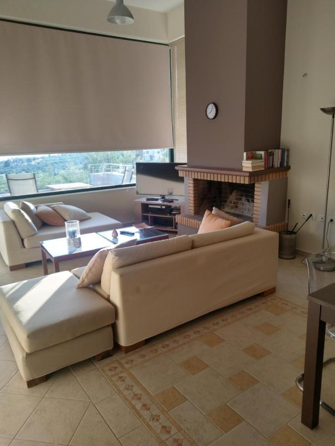 Pines Sea View 170 Sqm In Theologos Villa *