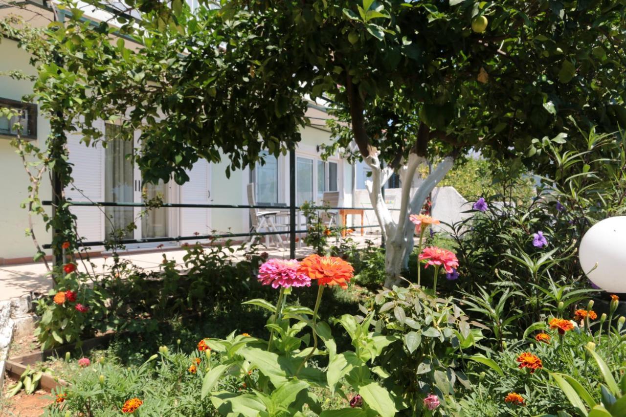 Apartment Ifigenias Agios Petros (Lefkada)