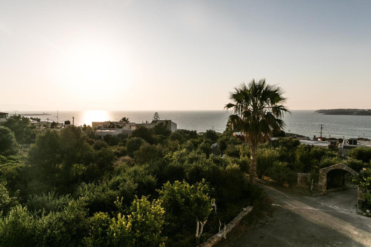 Creta Vitalis Hotel 3*