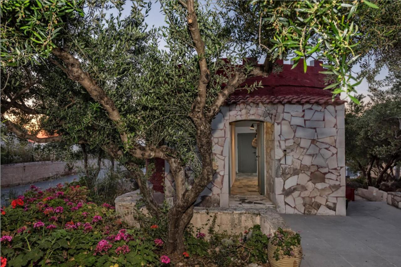 Creta Vitalis
